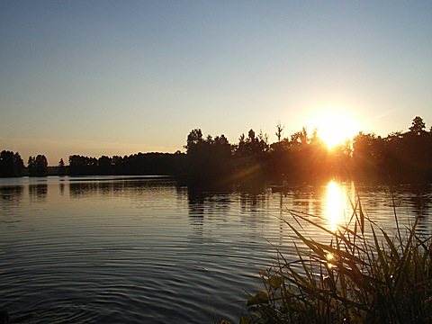 2008-07-26-2042.jpg