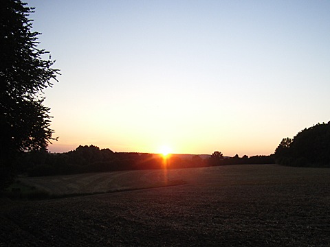 2008-07-26-2110.jpg