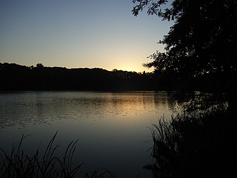 2008-07-27-0545.jpg