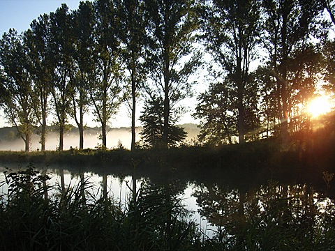 2008-07-27-0613b.jpg