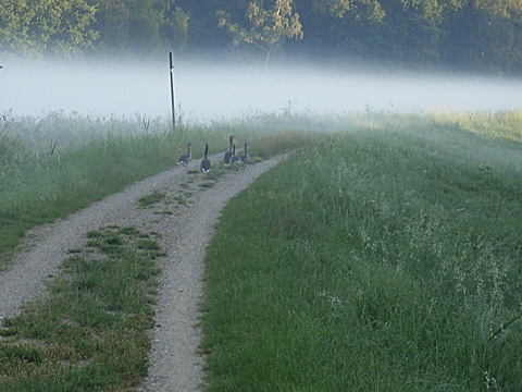 2008-07-27-0622.jpg
