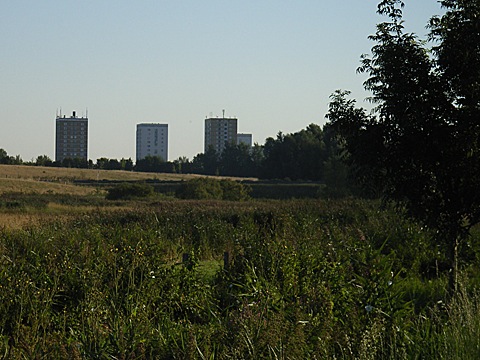 2008-07-27-0702.jpg