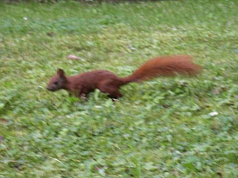 2008-08-26-1443.jpg