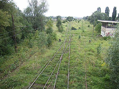 2008-08-28-1125.jpg