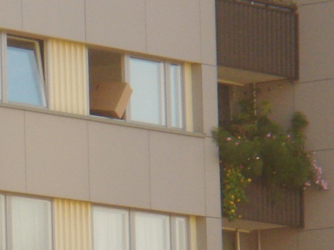 2008-10-13-1638.jpg