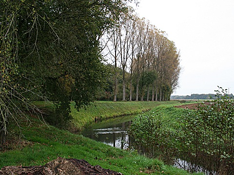 2008-10-24-1712.jpg