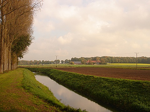 2008-10-25-1316.jpg