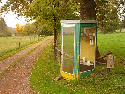 2008-10-25-1517.jpg