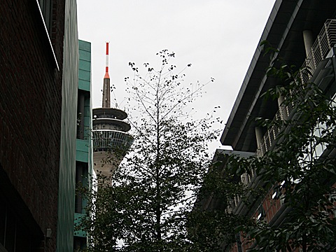 2008-10-26-1441.jpg