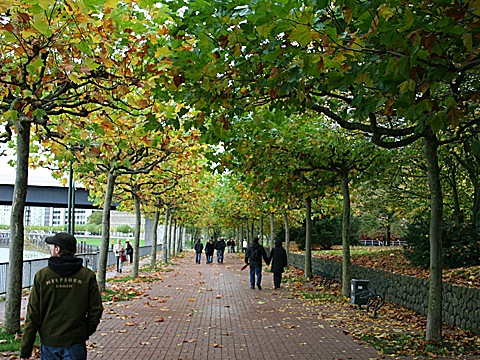 2008-10-26-1458.jpg