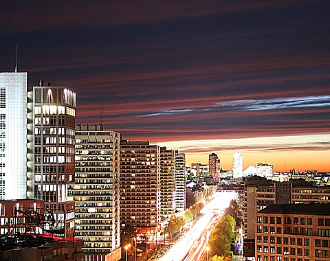 2008-11-11-1716.jpg
