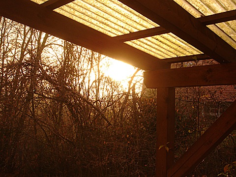 2008-11-17-0821.jpg