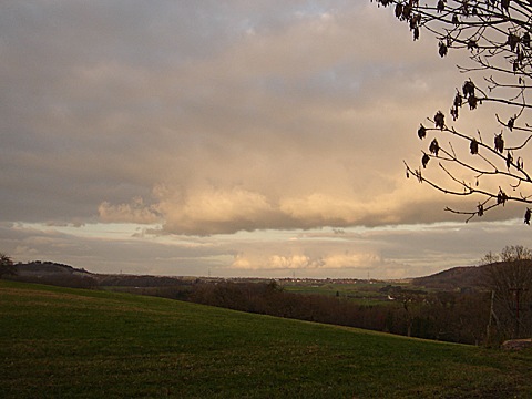 2008-11-17-1539.jpg