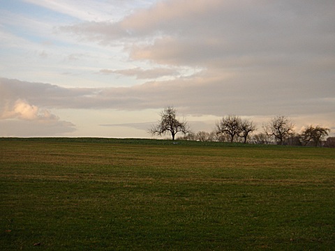2008-11-17-1540.jpg