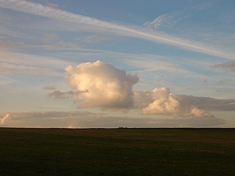 2008-11-17-1541.jpg