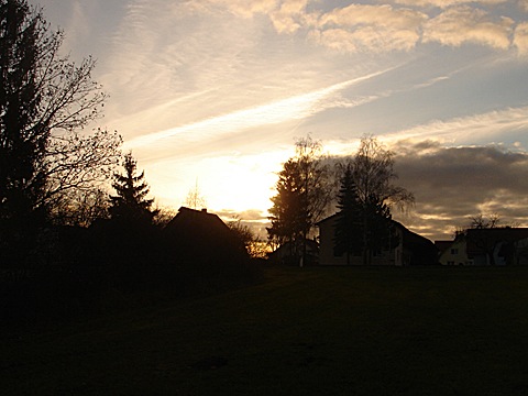 2008-11-17-1542.jpg