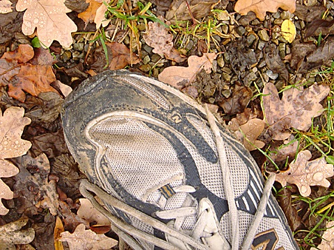 2008-11-18-0902.jpg