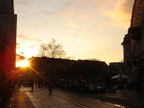 2008-11-24-1559.jpg