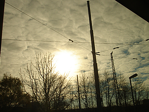 2008-11-27-1046.jpg