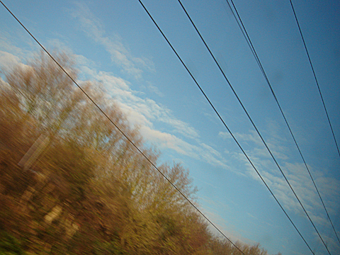 2008-11-27-1117.jpg
