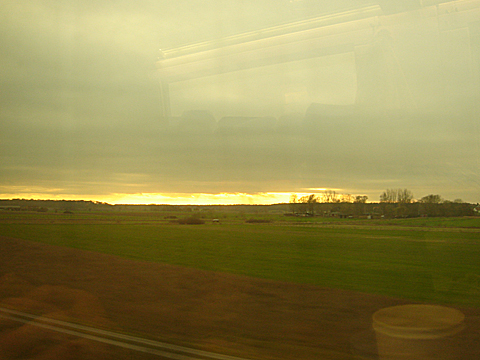 2008-11-27-1513.jpg