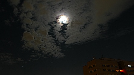 2009-01-09-0147.jpg