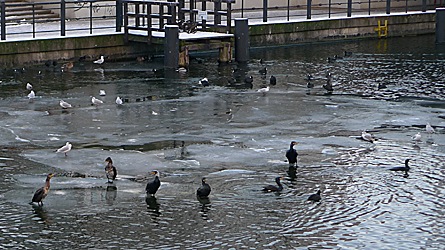 2009-01-11-1455.jpg