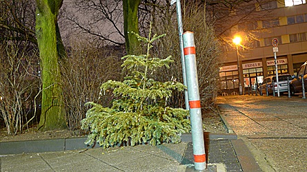 2009-01-16-0159.jpg