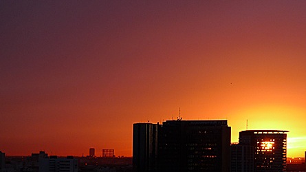 2009-01-20-1621.jpg
