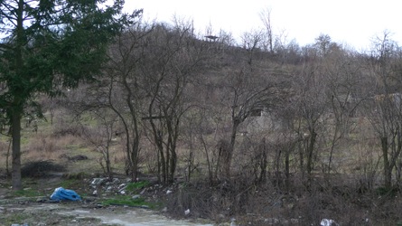 2009-03-18-1603.jpg