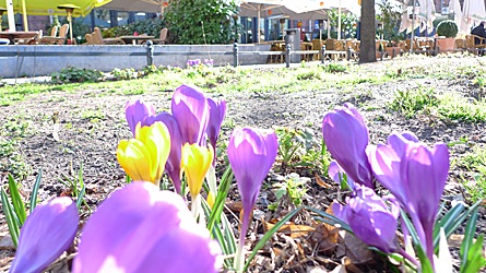 2009-03-19-1507.jpg