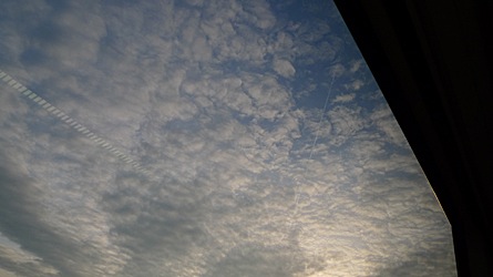 2009-03-21-1749.jpg