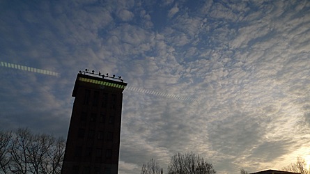 2009-03-21-1750.jpg