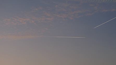 2009-03-21-1817.jpg