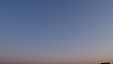 2009-04-19-2008.jpg