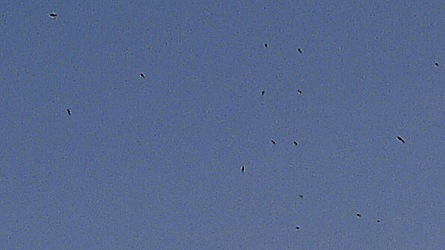 2009-04-19-2008detail.jpg