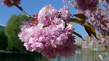 2009-04-20-0927.jpg