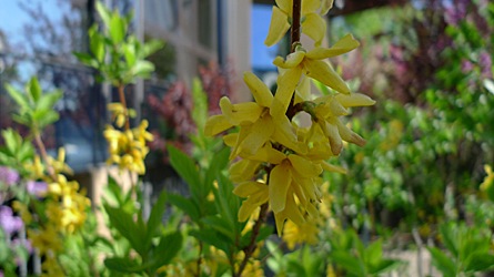 2009-04-20-1036.jpg