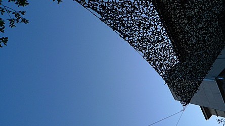 2009-05-01-1837.jpg