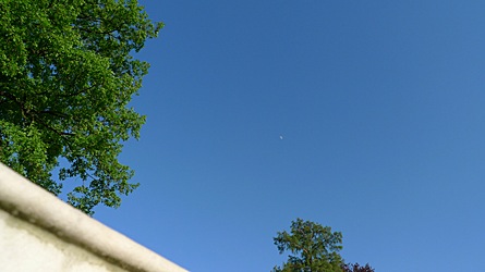 2009-05-02-1855.jpg