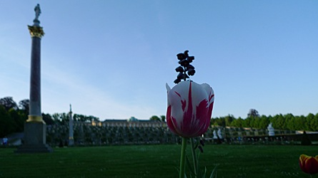 2009-05-02-1932.jpg