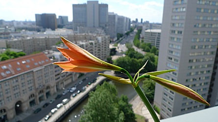 2009-06-02-1500.jpg