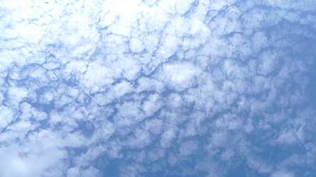 2009-07-13-1711.jpg