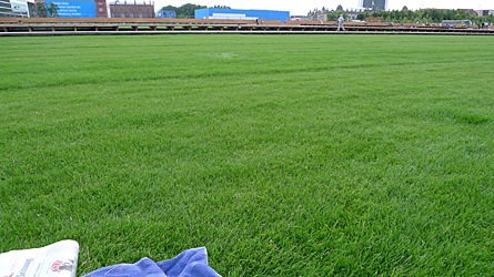 2009-07-13-1743.jpg