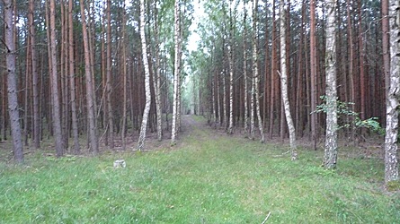 2009-08-01-2006.jpg