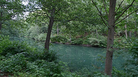 2009-08-01-2020.jpg