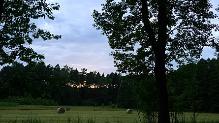 2009-08-01-2025.jpg