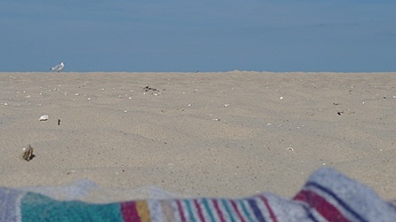 2009-08-24-1509.jpg