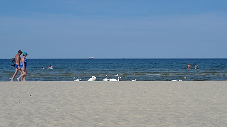2009-08-24-1528.jpg