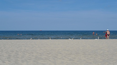 2009-08-24-1528b.jpg